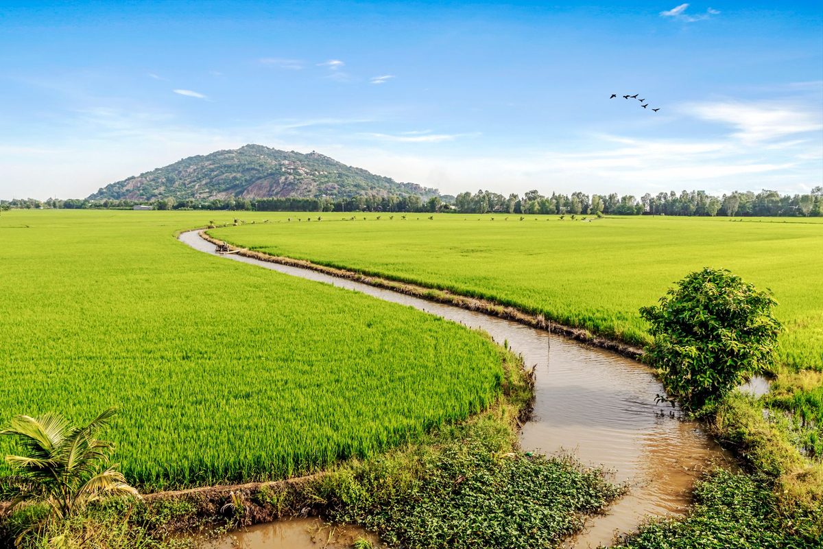 Canal de riego en el campo, derecho de aguas