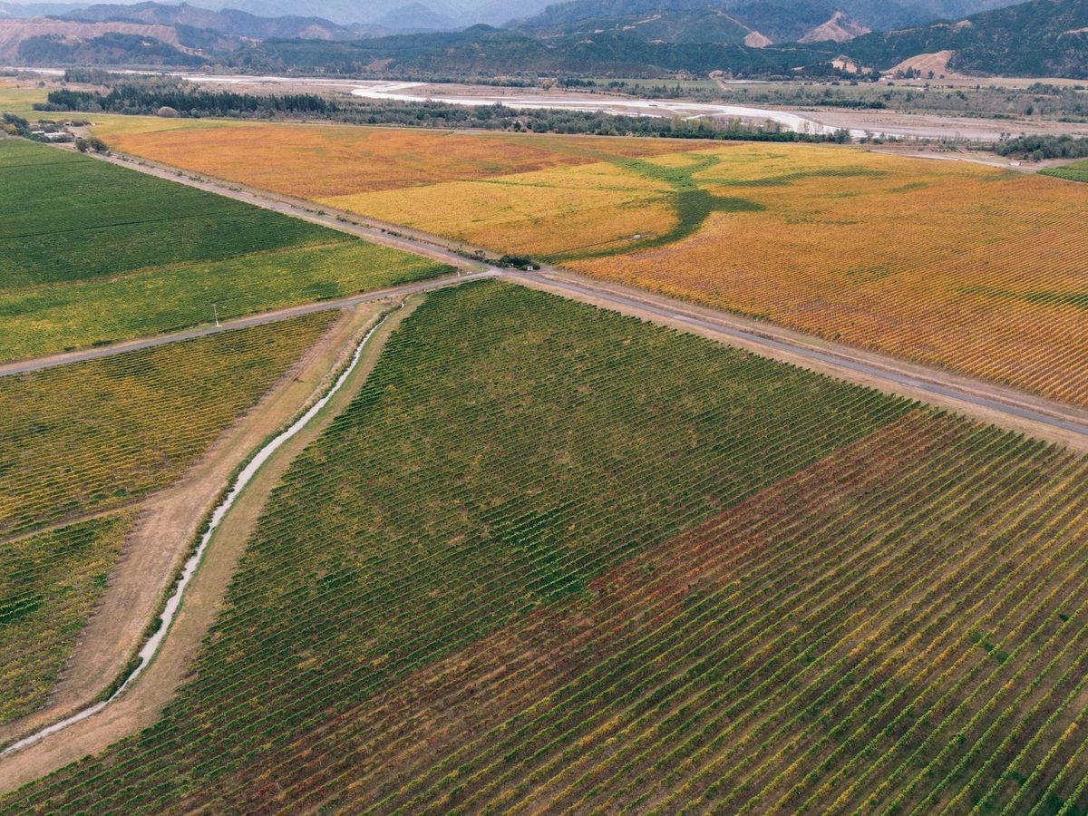 Predio agrícola con riego en la Región del Maule